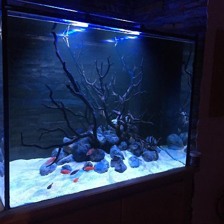 דירות ססימברה Aquarium House מראה חיצוני תמונה